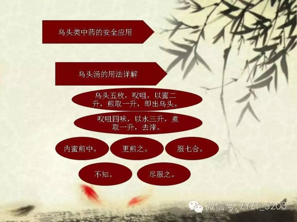 高鑫风湿医生,高鑫中医