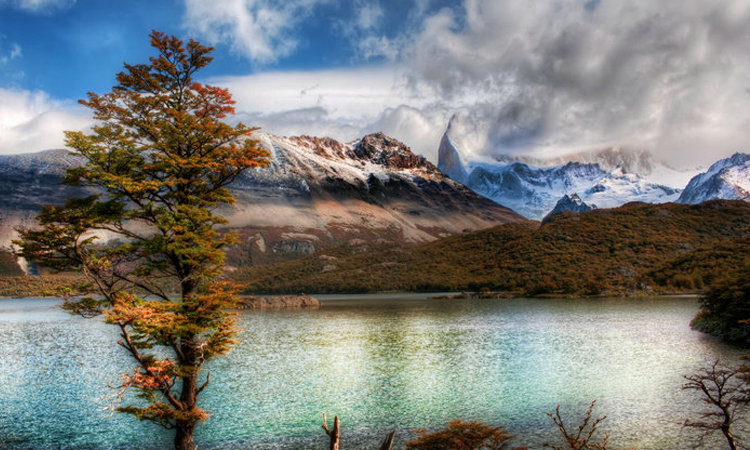 经典语录人生感悟人情冷暖,佛语人情冷暖世态炎凉语录