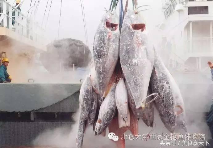 冰鲜海鲜与活的海鲜区别,时下常见的新鲜的海鲜都是哪些