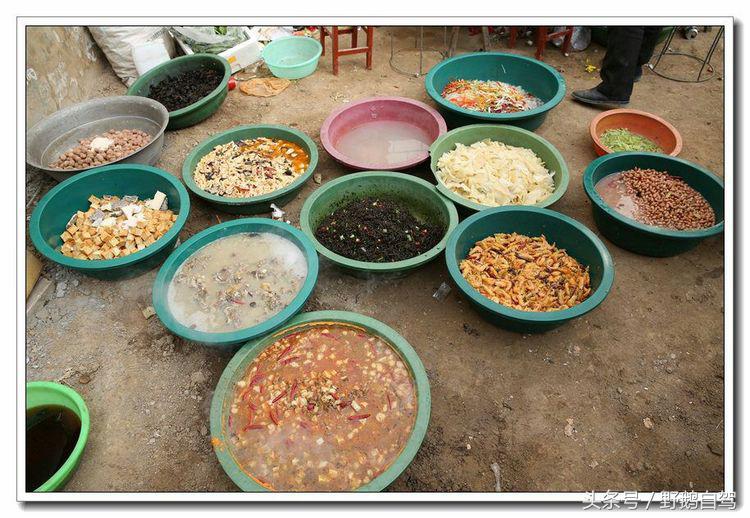 野鹅自驾甘肃,野鹅自驾