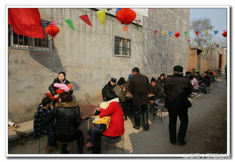 野鹅自驾甘肃,野鹅自驾