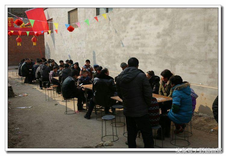 野鹅自驾甘肃,野鹅自驾