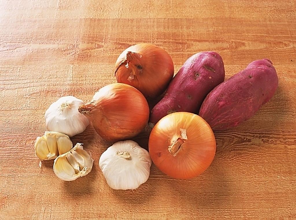 泰迪狗哪些食物不能吃,泰迪狗不可以吃的食物