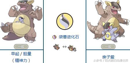 口袋妖怪xy有mega进化吗,口袋妖怪xymega进化图