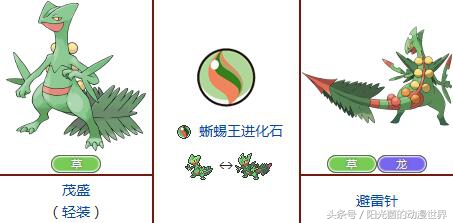 口袋妖怪xy有mega进化吗,口袋妖怪xymega进化图