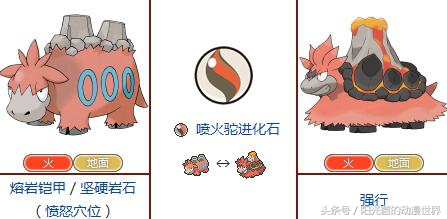 口袋妖怪xy有mega进化吗,口袋妖怪xymega进化图