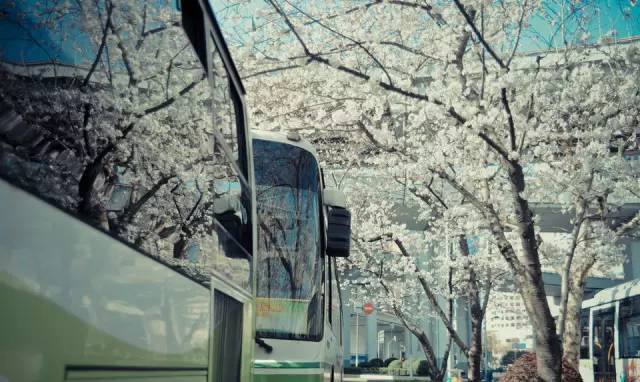 南昌人交通意识,南昌人注意了