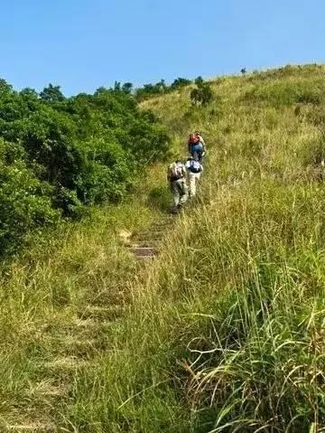 香港经典38条登山路线,香港徒步太平山顶路线
