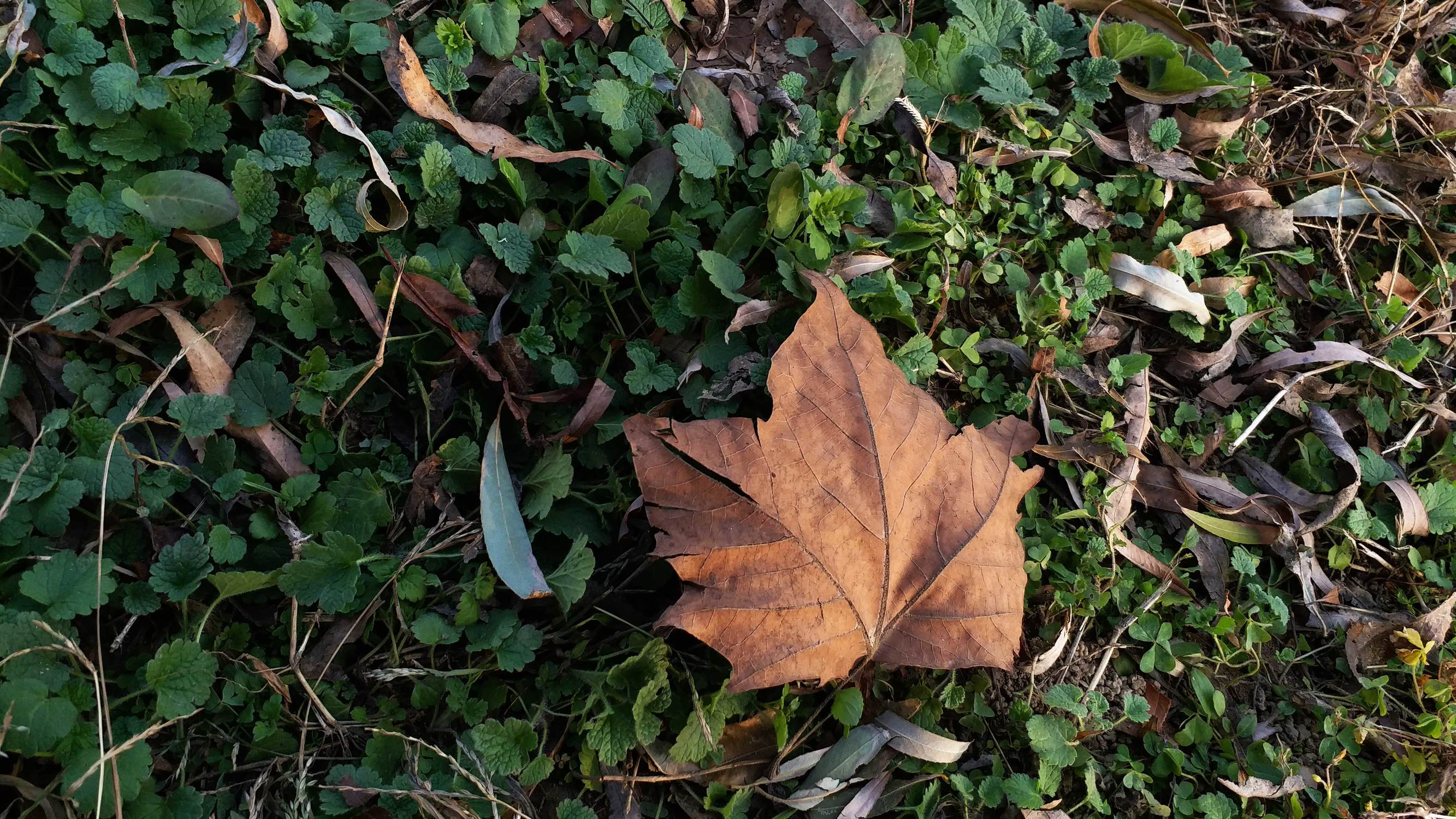 三星galaxyc9pro多少钱,三星旗舰手机性价比最高的