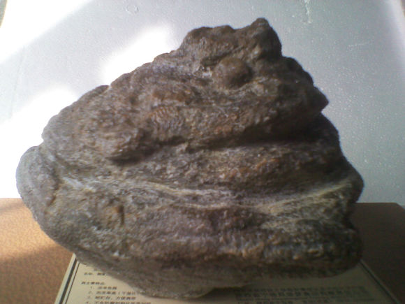 便秘长久不排便的严重后果会如何,便秘五天不大便有什么好办法吗