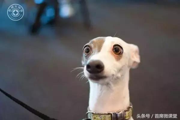 厉害啦！讲故事竟然讲出了三千万的年营业额！