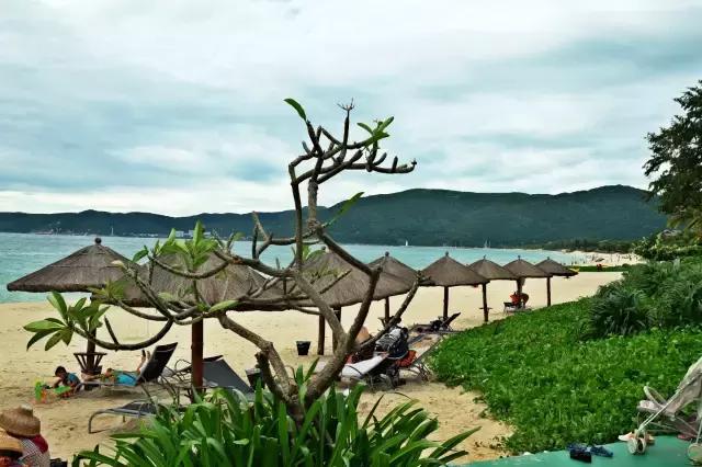 杨幂刘恺威最新一期从酒店出来,杨幂刘恺威法国巴黎定情之作