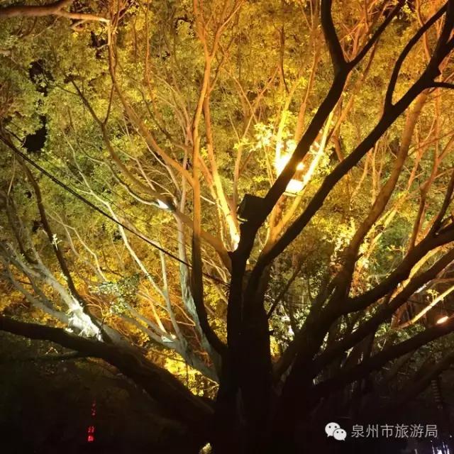 没法度！泉州趴趴走！