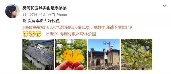 南雄看银杏值得去吗,南雄看银杏攻略