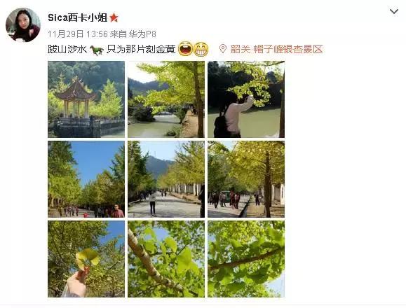 南雄看银杏值得去吗,南雄看银杏攻略