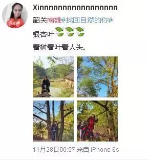 南雄看银杏值得去吗,南雄看银杏攻略