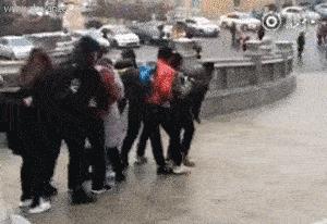 河北细狗抓兔子视频,抓兔子的细狗