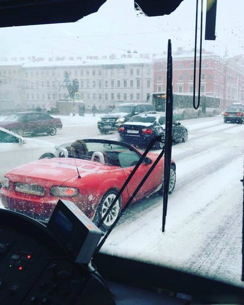 河北细狗抓兔子视频,抓兔子的细狗