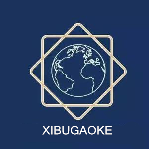 西部高科,数字乐谱和五线谱