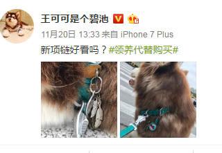 王思聪敢给王可可买这条狗链,看来是决心挑衅整个娱乐圈了
