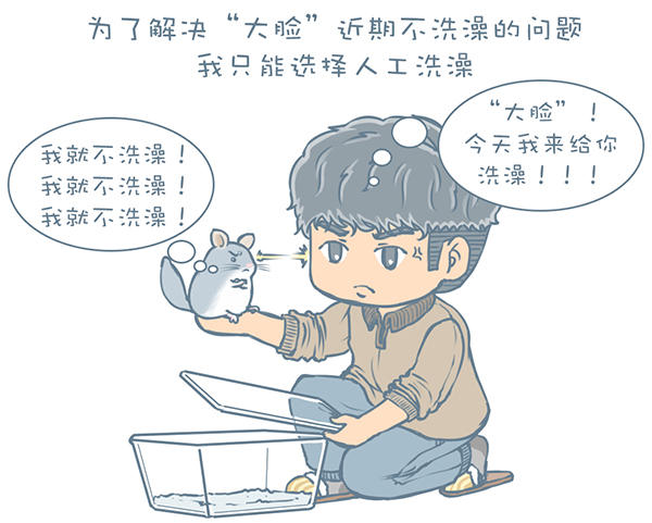 龙猫不洗澡光泡沙子,龙猫不滚沙怎么办