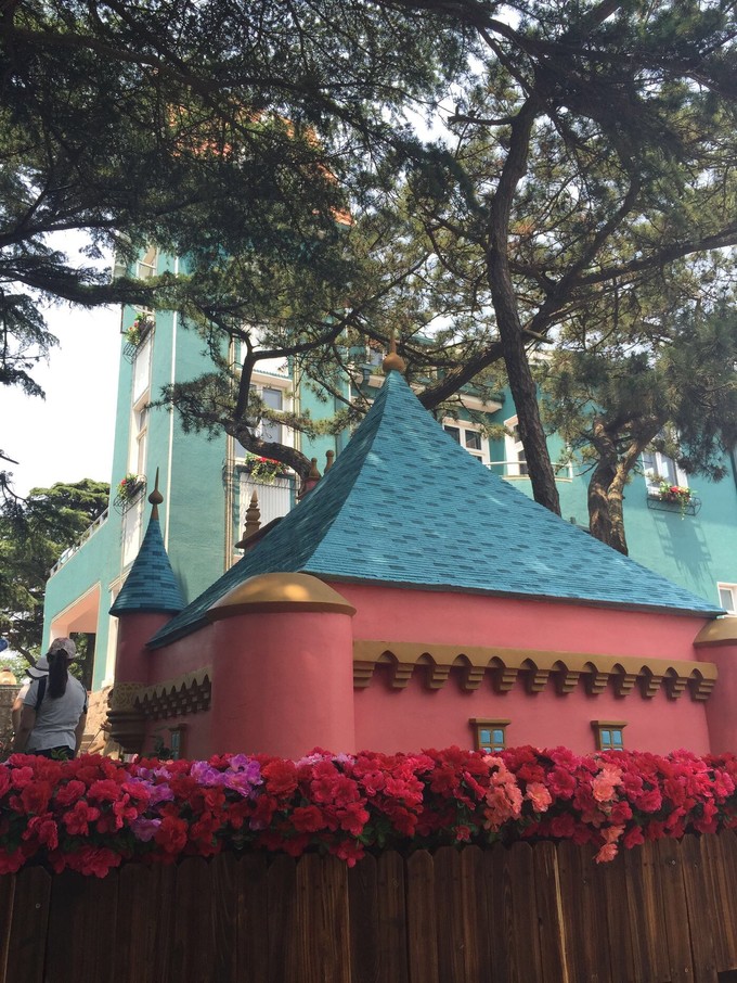 那年夏天那片海图片,那年夏天那片海