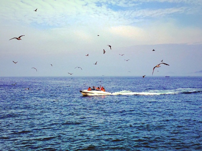 那年夏天那片海图片,那年夏天那片海
