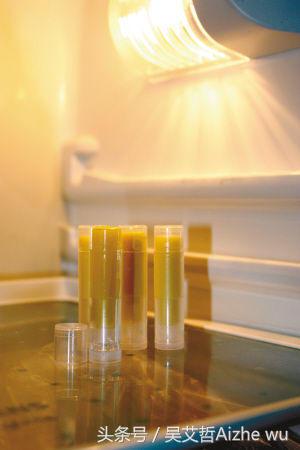 双11种草清单我准备买什么,双12种草大全