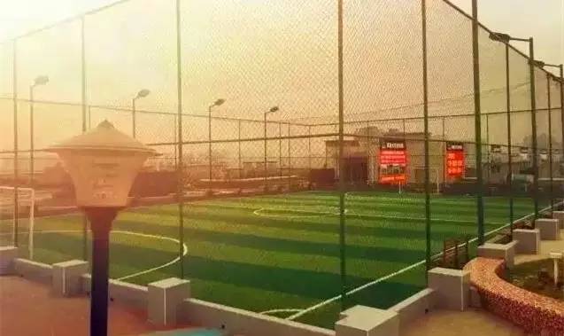 成都足球野球场推荐,成都免费足球场推荐