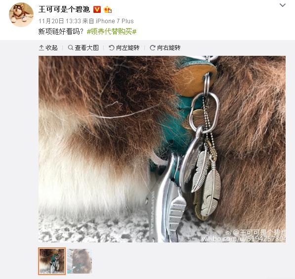 王思聪20万买日本大师设计项链给狗戴这是讽刺吴亦凡权志龙?