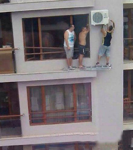 河北细狗抓兔子视频,抓兔子的细狗