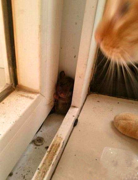 我眼花了怎么办,眼花有救了太实用了