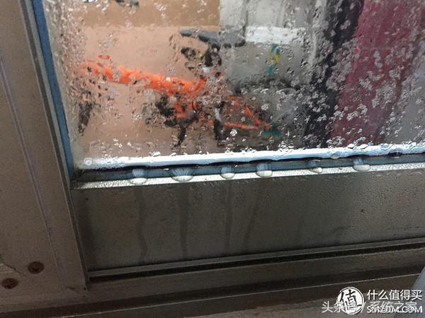 B+WUV-PRO镜头防霉器：究竟有没有用