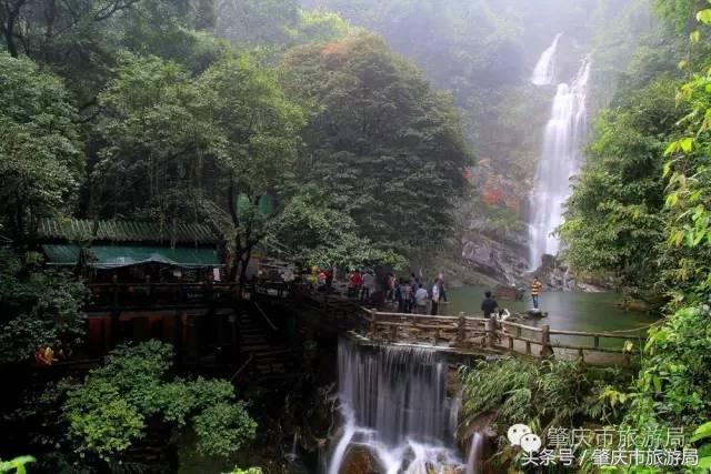 广肇城际轻轨最新官方消息,广肇城际在广州哪儿上车