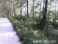 江苏宿迁泗洪简介,我的家乡在泗洪哪里