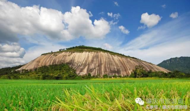广肇城际轻轨最新官方消息,广肇城际在广州哪儿上车