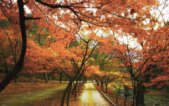 宜兴人为什么很幸福,宜兴人为何淳朴