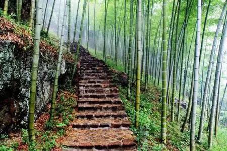 宜兴人为什么很幸福,宜兴人为何淳朴