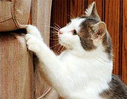 实用小妙招食醋的神奇妙用,食醋的妙用大全