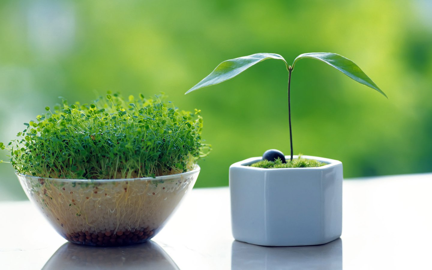 衣服起静电粘碎头发怎么办,头发衣服静电