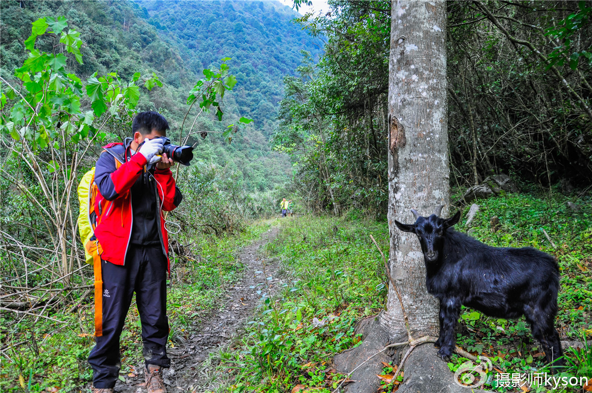 侠之梦受邀参与恩施坪坝营线路测试，冬季溯溪，冰冷刺骨，第一天