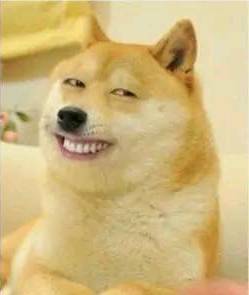 拜耳驱虫药真假,拜耳农药关于串货打假声明