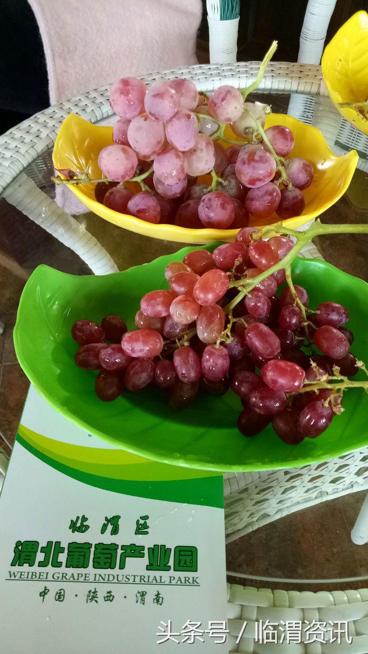 中省市网媒“走基层看变化,发现渭南之美”---临渭行