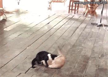 快递分拣都怎么分拣,你知道快递经过哪些步骤吗