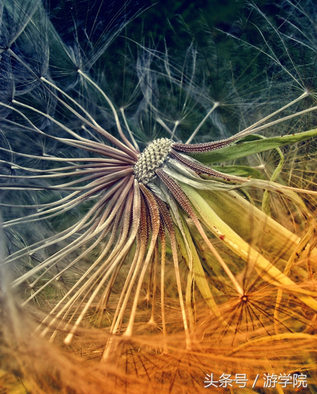 摄影答疑,解答摄影问题