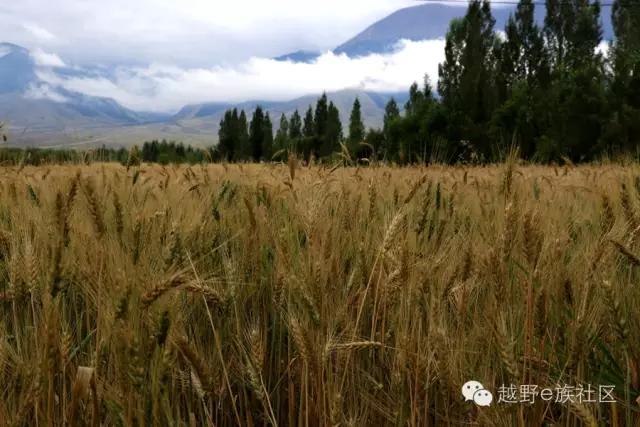 开着房车旅行说走就走,说走就走出去玩视频