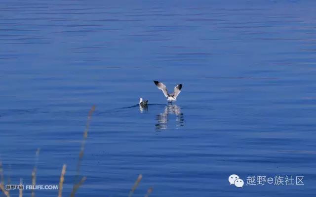 开着房车旅行说走就走,说走就走出去玩视频