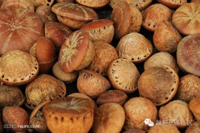 开着房车旅行说走就走,说走就走出去玩视频