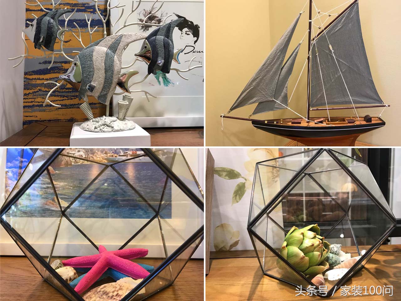 伙呆！杭州遇上地中海，是场最美丽的意外！