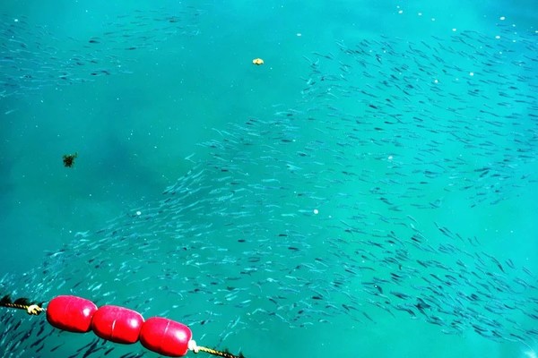 全家到三亚,全家去三亚过春节费用